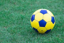 实时数据更新展示